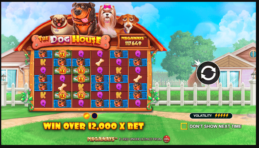 The Dog House Megaways Gameplay 1Win Casino